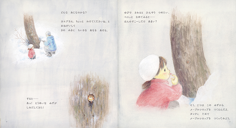 福音館書店 月刊かがくのとも カエデの あまい みず 佐武絵里子 作